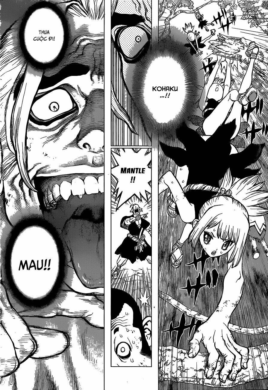 Dr.stone - Hồi Sinh Thế Giới: Chapter 36