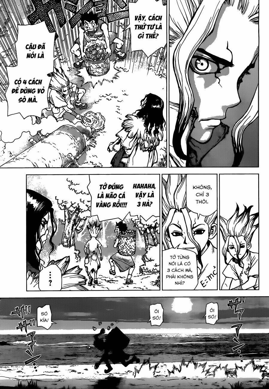 Dr.stone - Hồi Sinh Thế Giới: Chapter 4