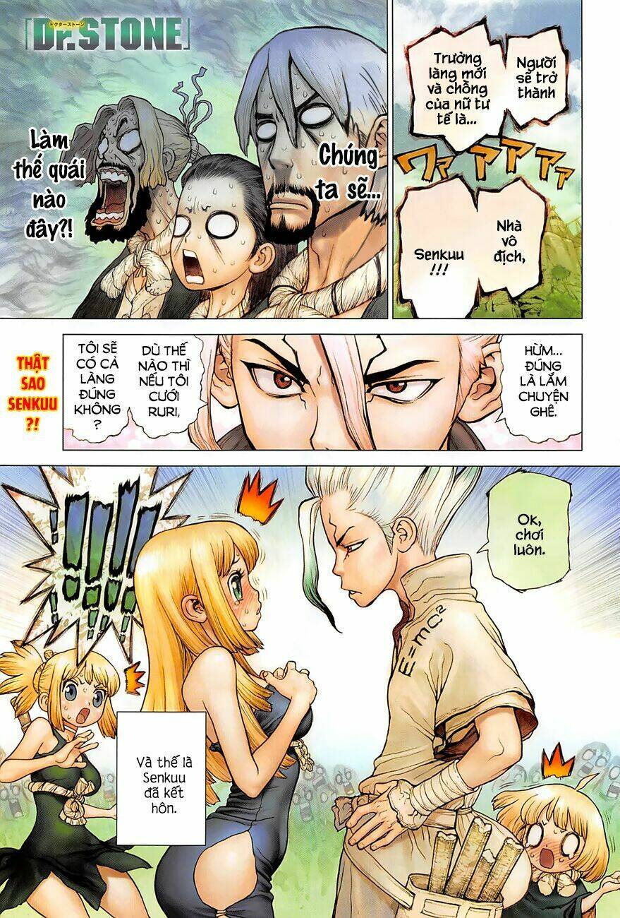 Dr.stone - Hồi Sinh Thế Giới: Chapter 40