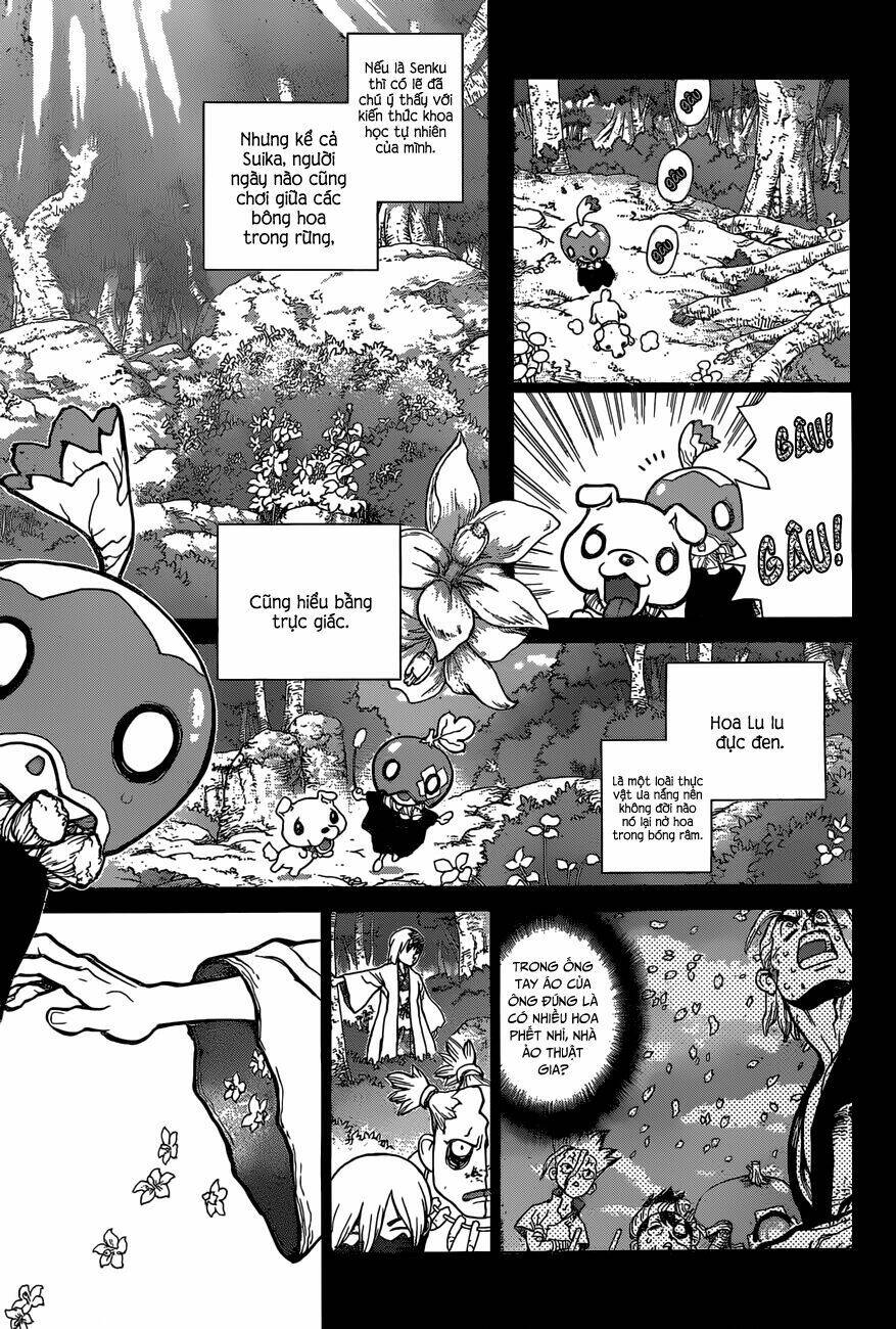 Dr.stone - Hồi Sinh Thế Giới: Chapter 48