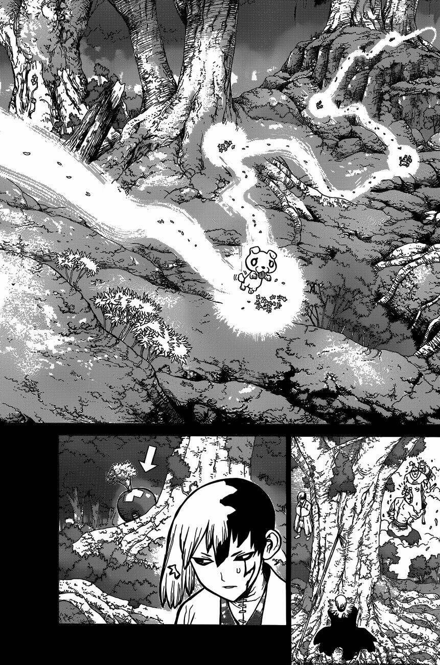 Dr.stone - Hồi Sinh Thế Giới: Chapter 48
