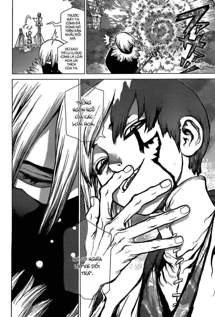 Dr.stone - Hồi Sinh Thế Giới: Chapter 48
