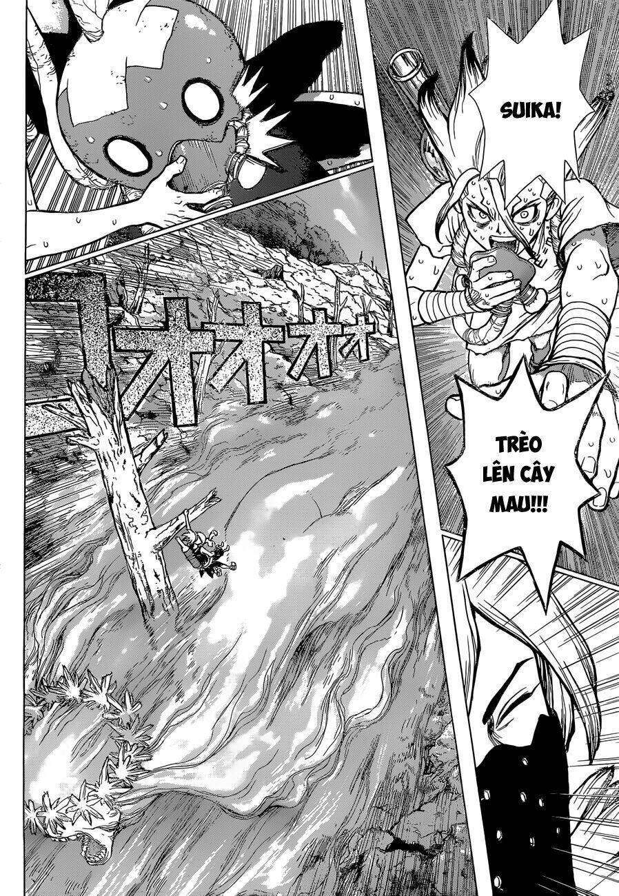 Dr.stone - Hồi Sinh Thế Giới: Chapter 49