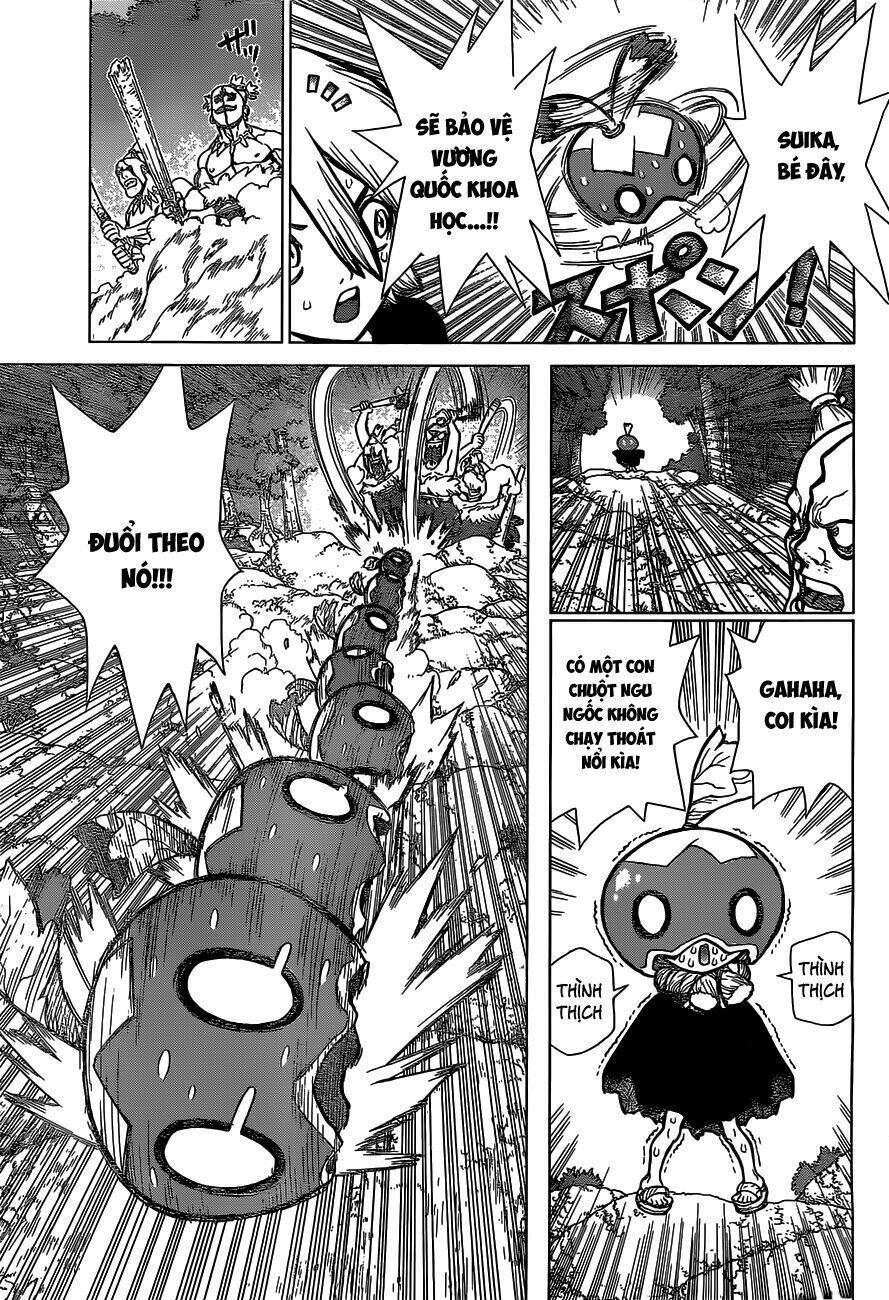 Dr.stone - Hồi Sinh Thế Giới: Chapter 49