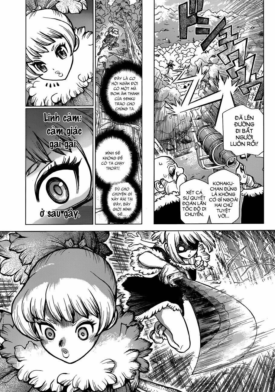 Dr.stone - Hồi Sinh Thế Giới: Chapter 62