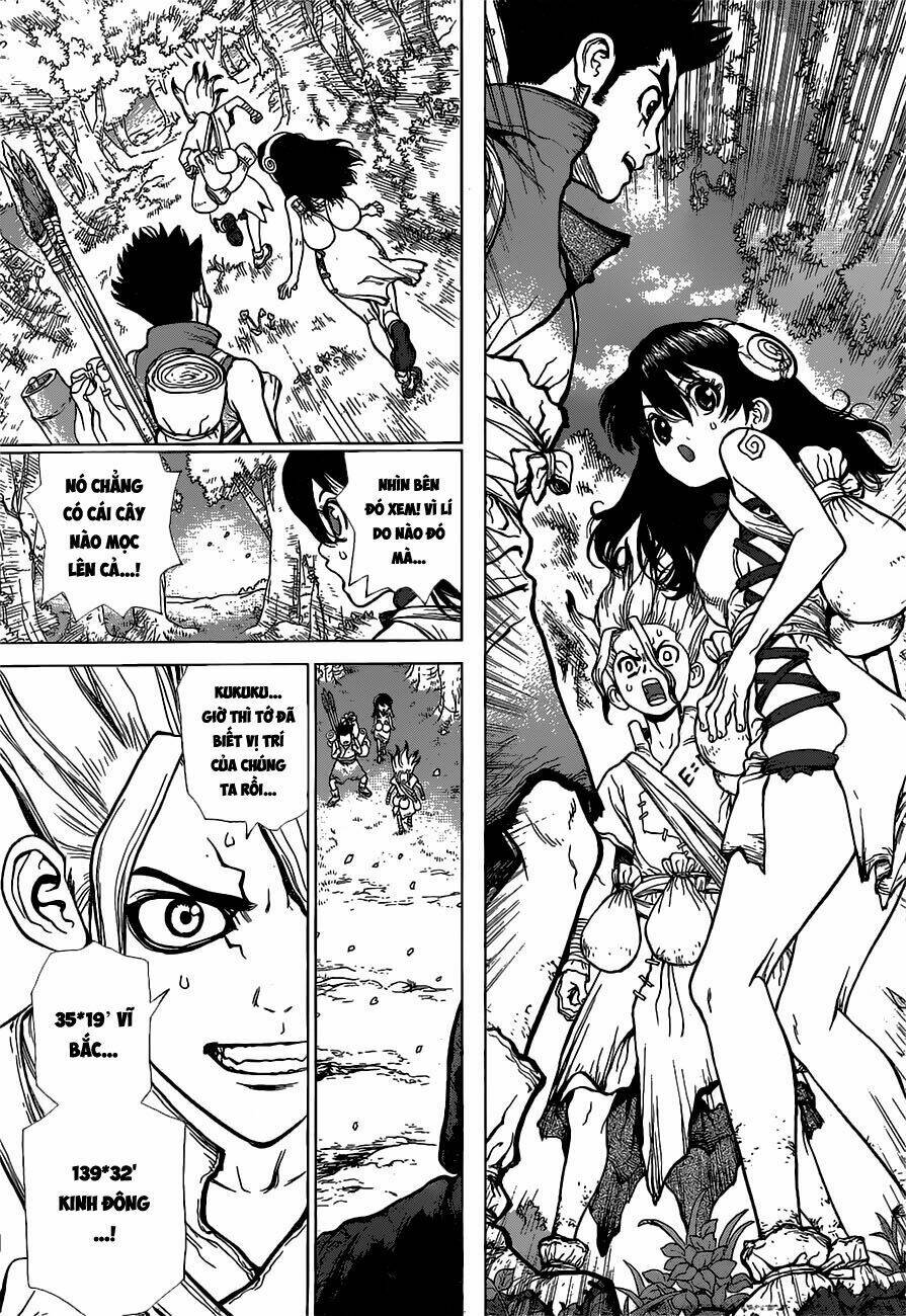 Dr.stone - Hồi Sinh Thế Giới: Chapter 7