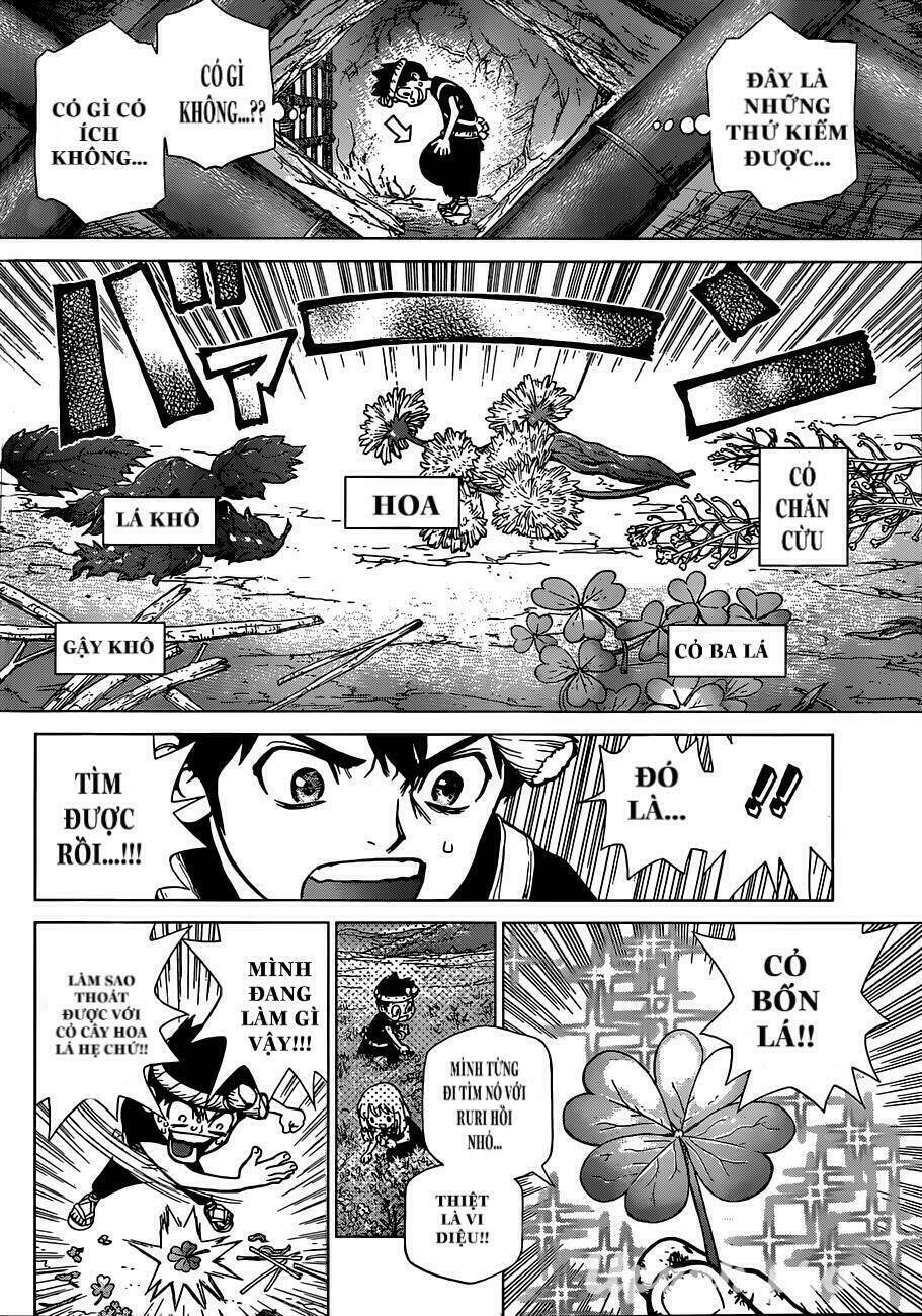 Dr.stone - Hồi Sinh Thế Giới: Chapter 71