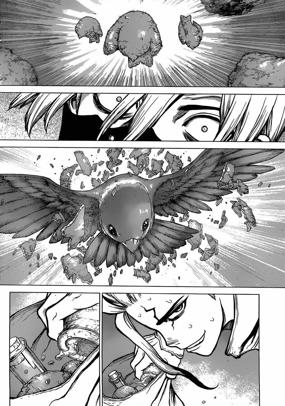 Dr.stone - Hồi Sinh Thế Giới: Chapter 80