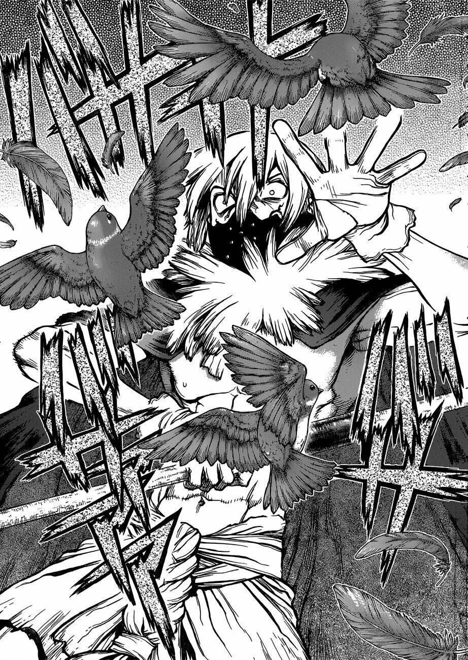 Dr.stone - Hồi Sinh Thế Giới: Chapter 80