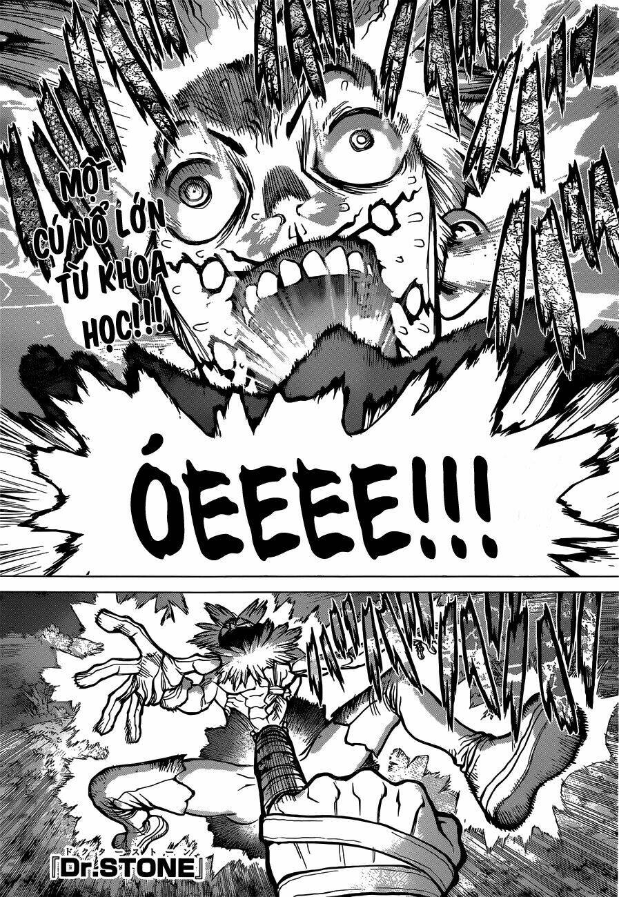 Dr.stone - Hồi Sinh Thế Giới: Chapter 82