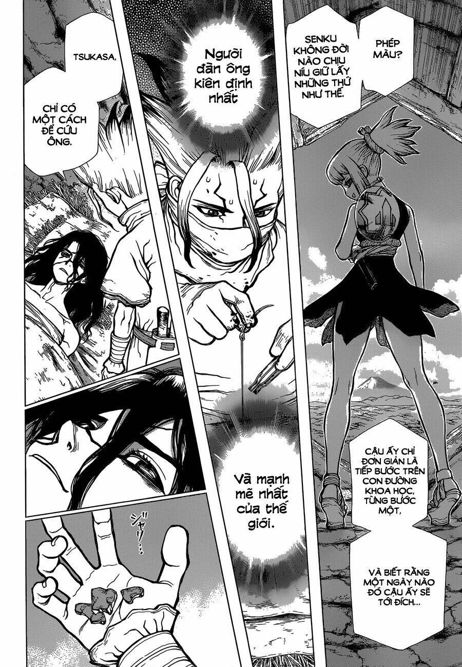 Dr.stone - Hồi Sinh Thế Giới: Chapter 82