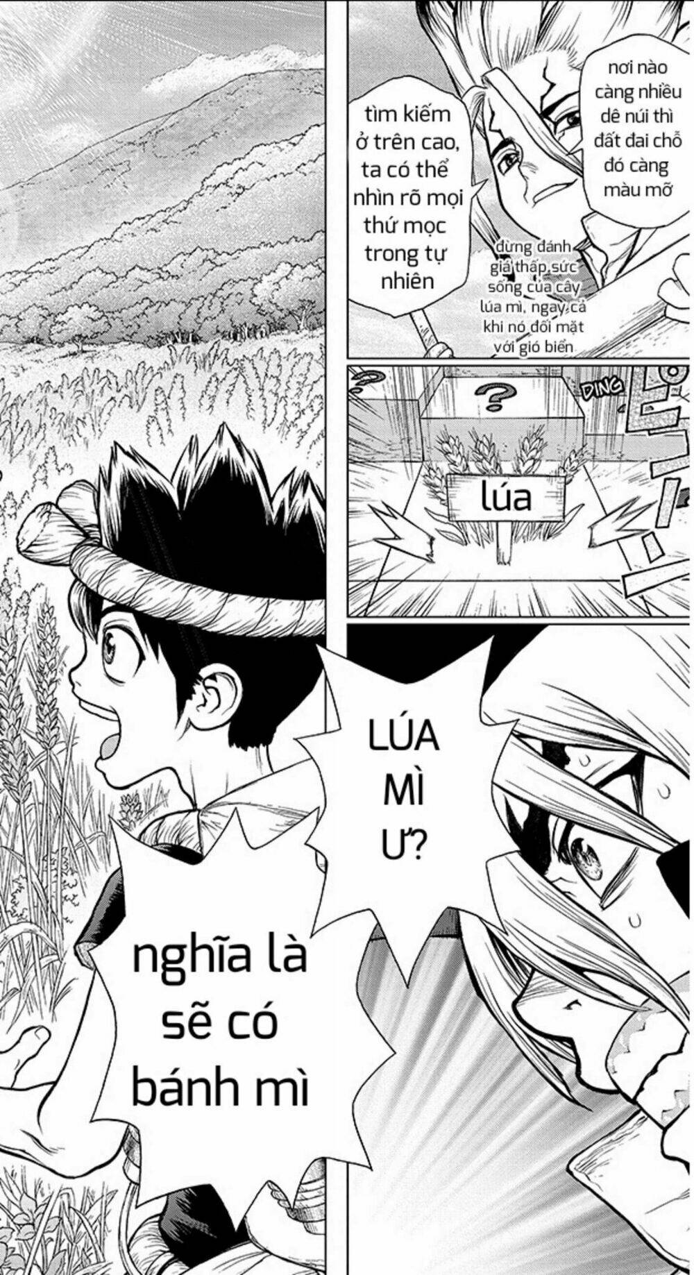 Dr.stone - Hồi Sinh Thế Giới: Chapter 90