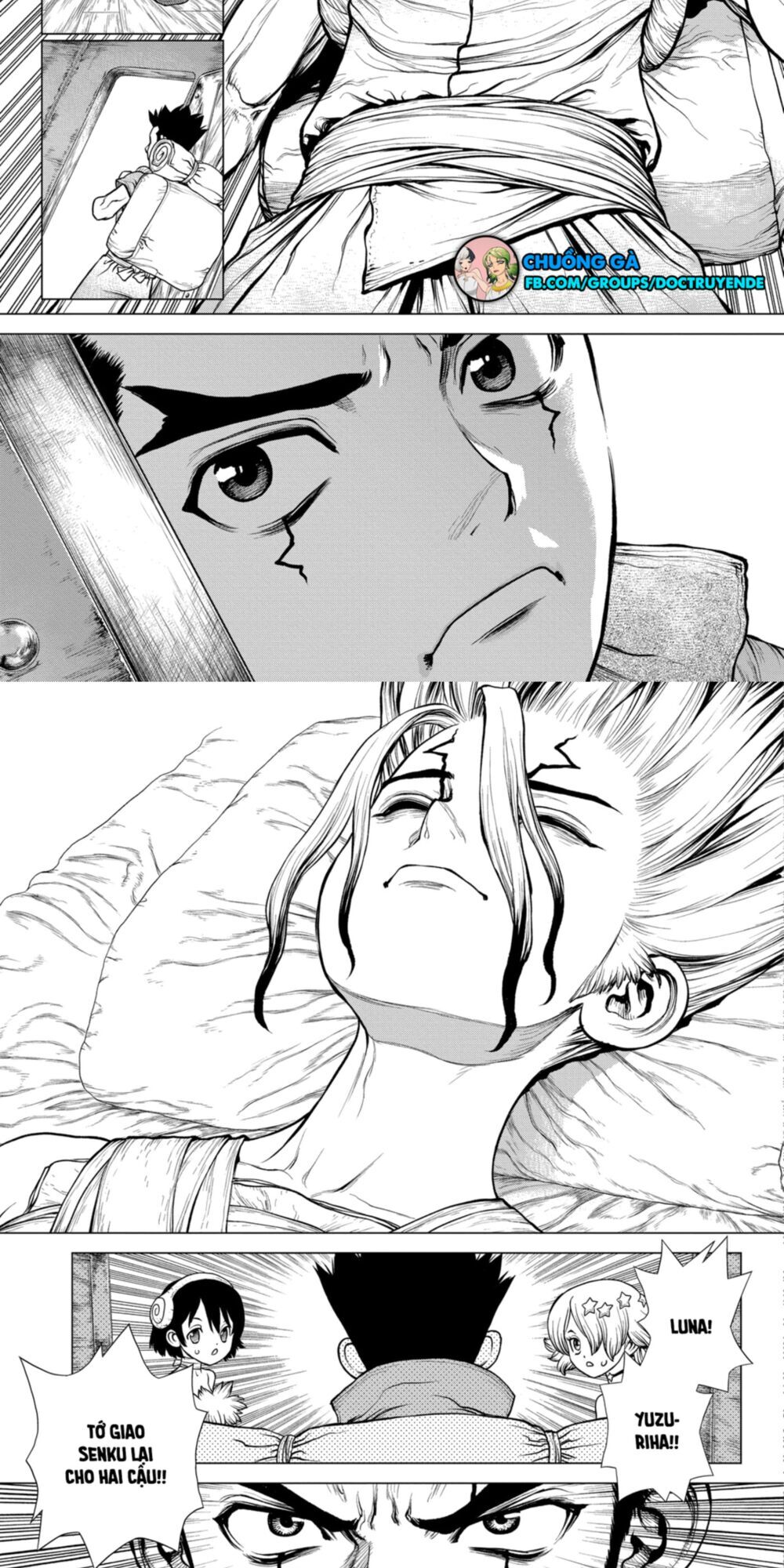 Dr.stone: Chapter 162