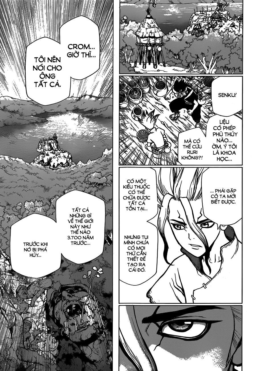 Dr.stone: Chapter 19