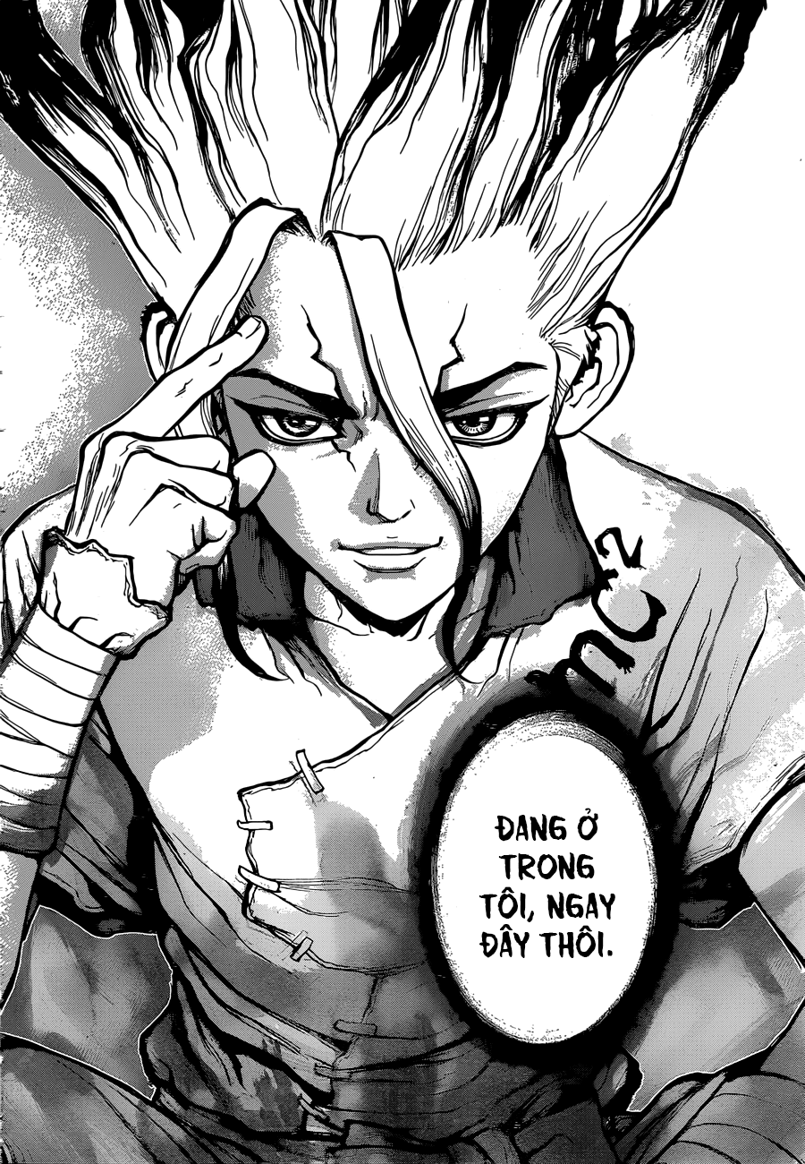Dr.stone: Chapter 19