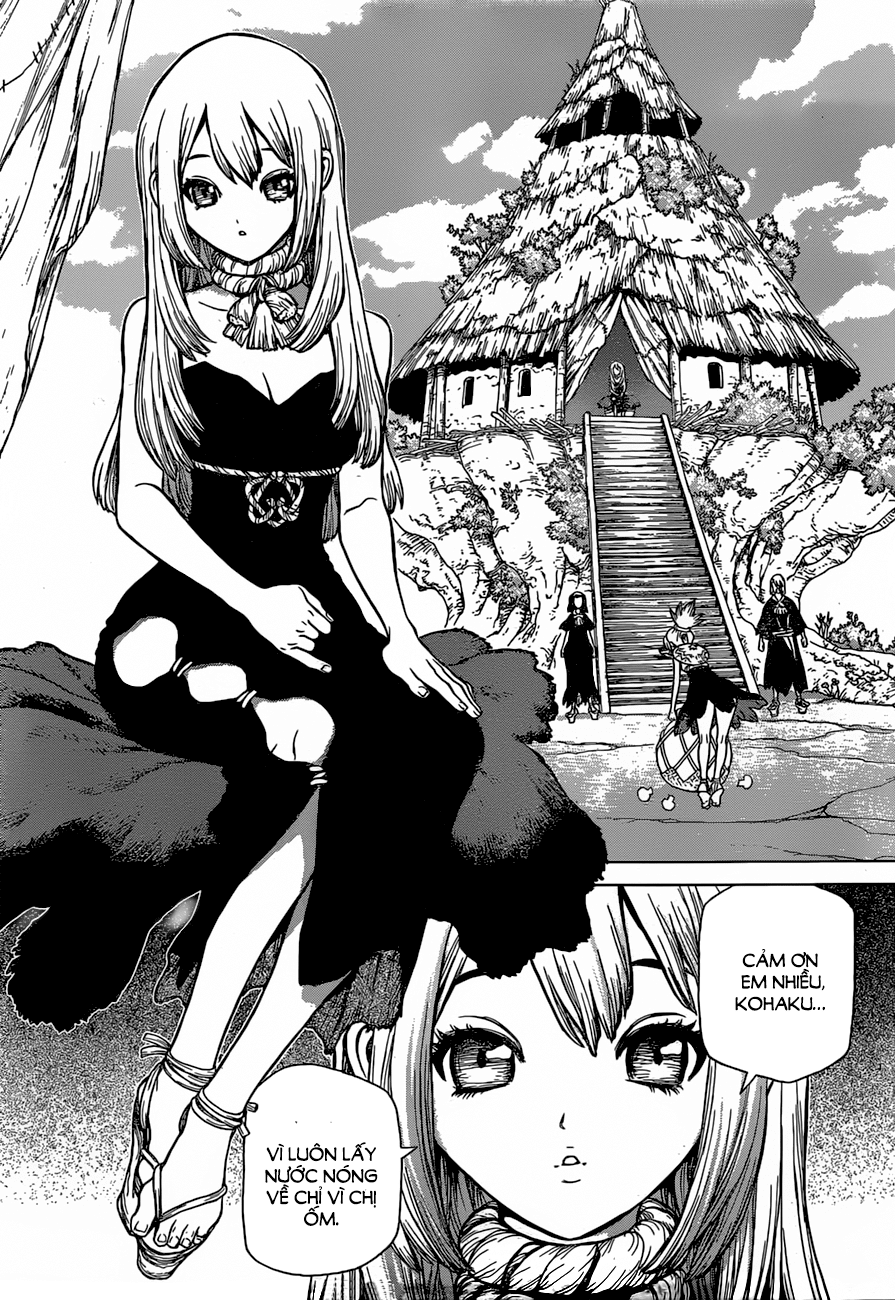 Dr.stone: Chapter 19