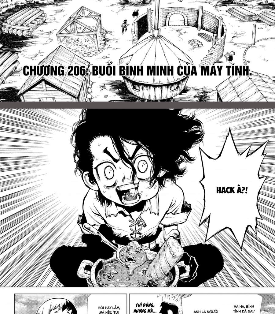 Dr.stone: Chapter 206