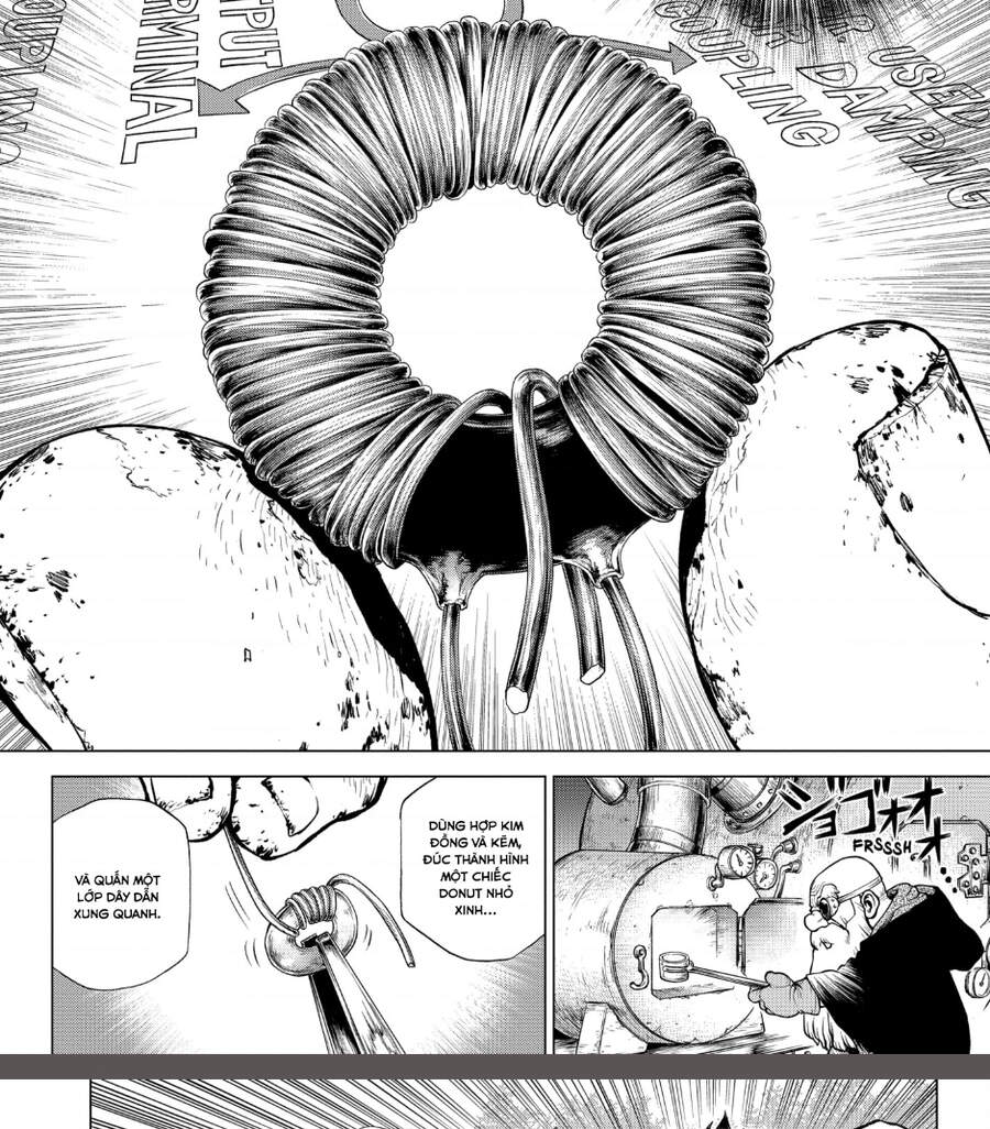 Dr.stone: Chapter 206