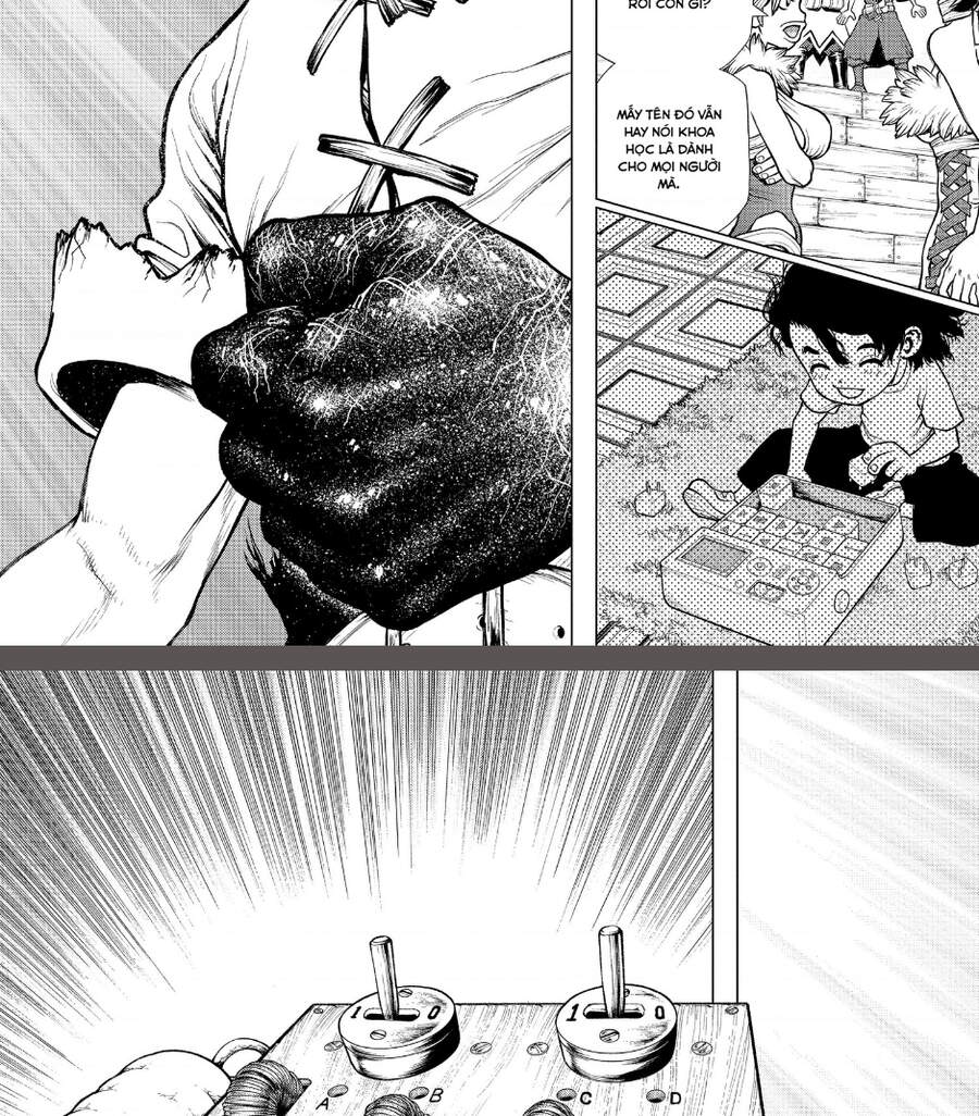 Dr.stone: Chapter 206
