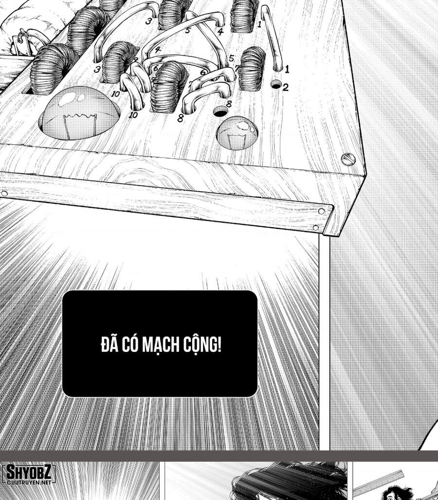 Dr.stone: Chapter 206