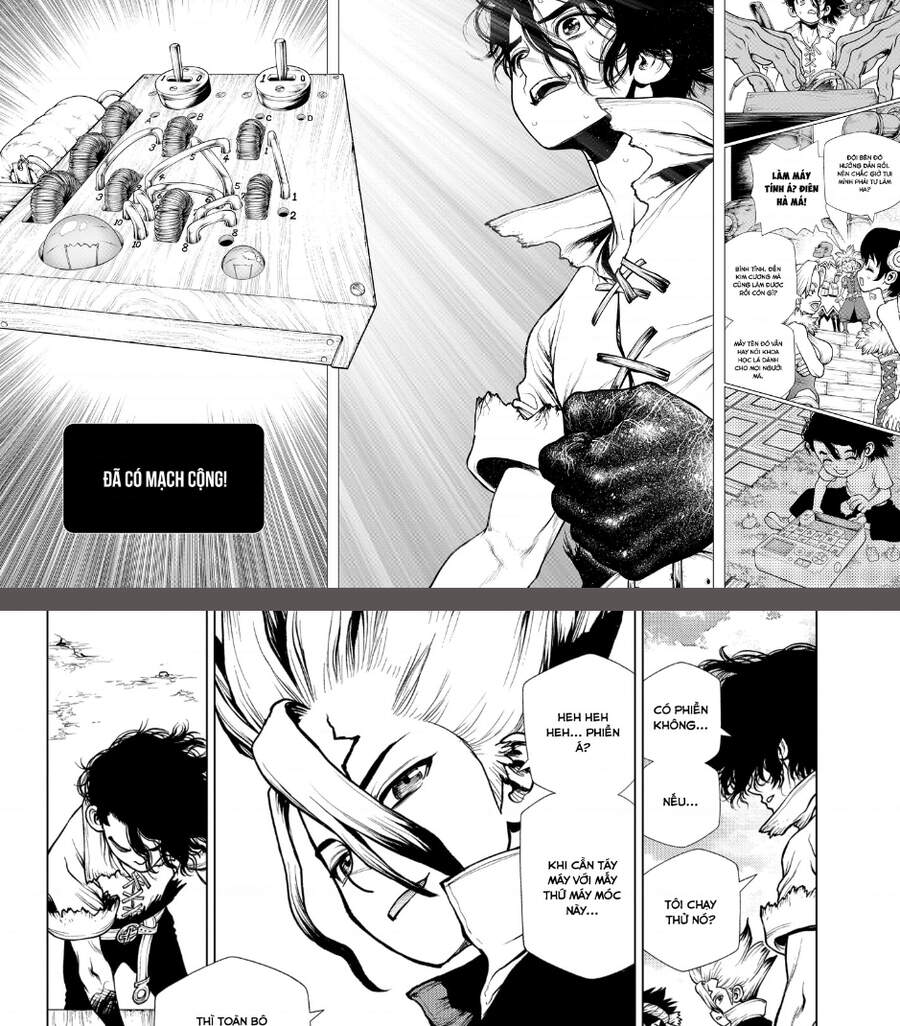 Dr.stone: Chapter 206