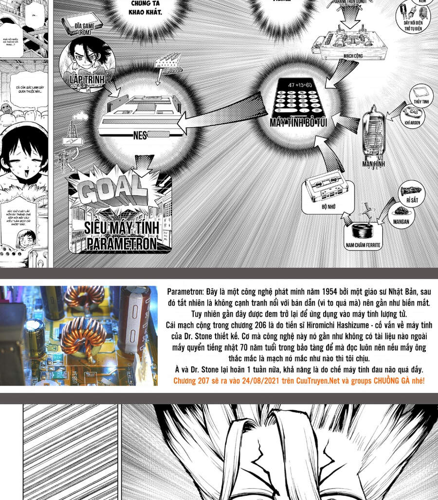 Dr.stone: Chapter 206