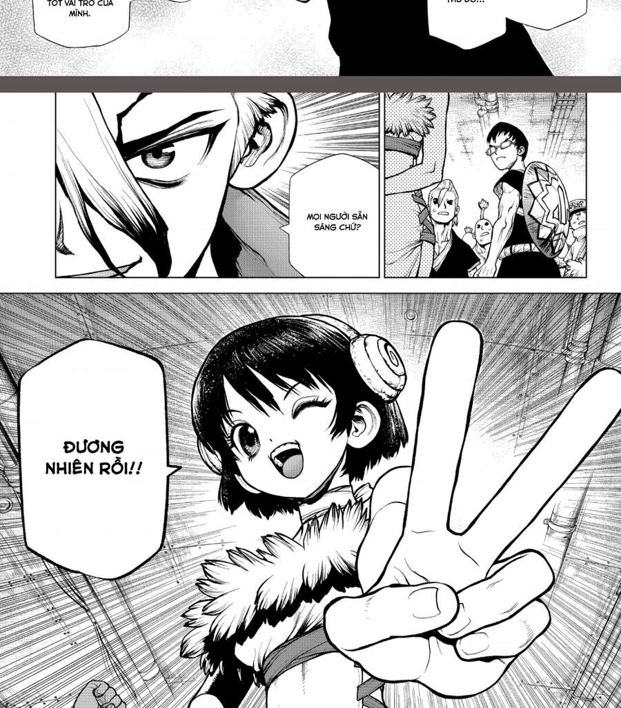 Dr.stone: Chapter 206