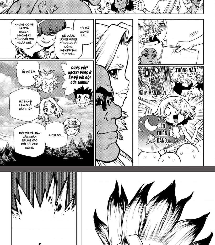Dr.stone: Chapter 206