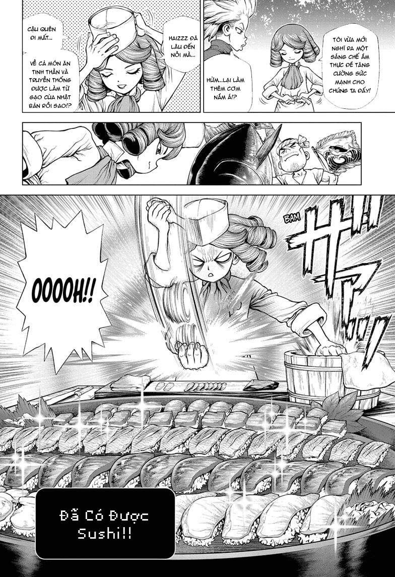 Dr.stone: Chapter 212
