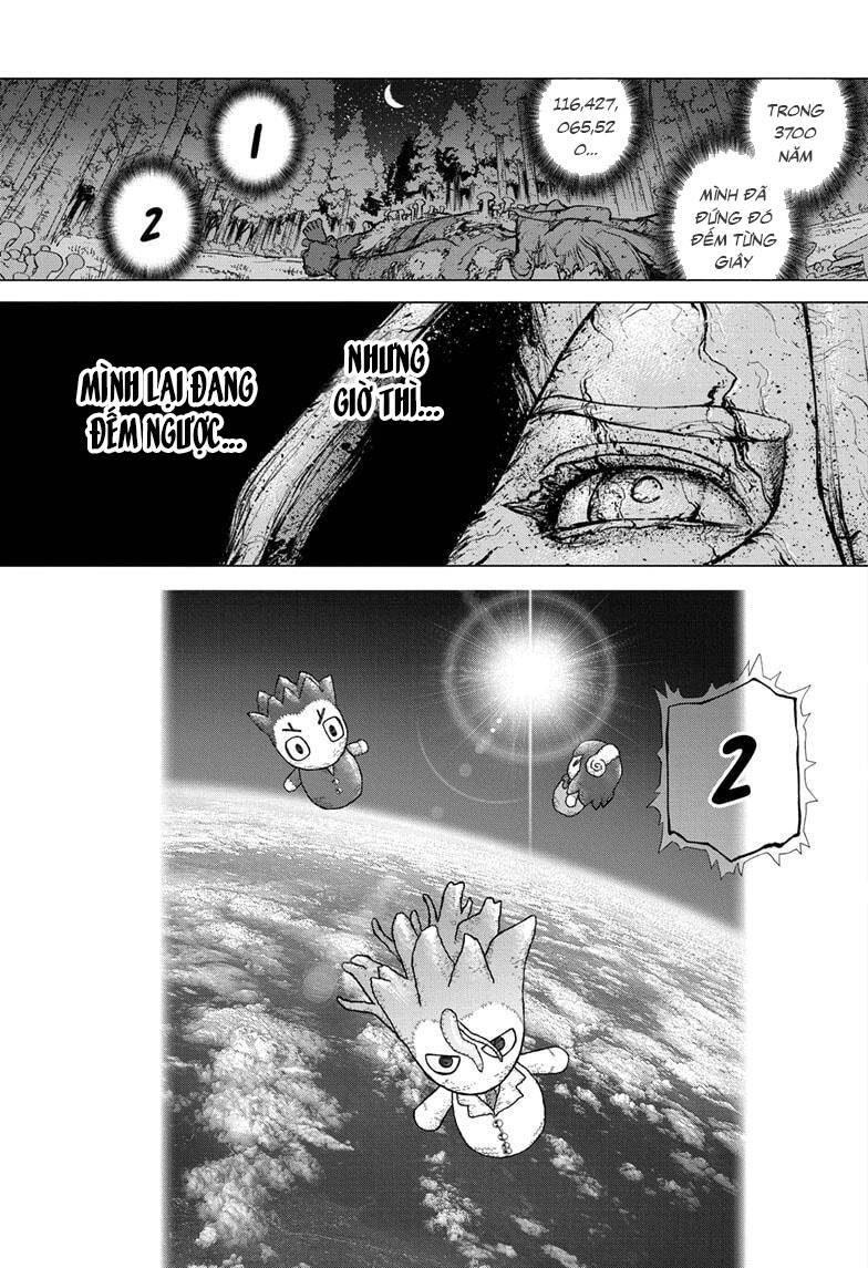 Dr.stone: Chapter 223