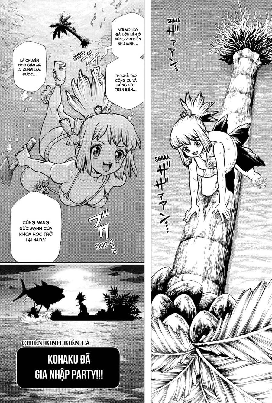 Dr.stone: Chapter 232.6