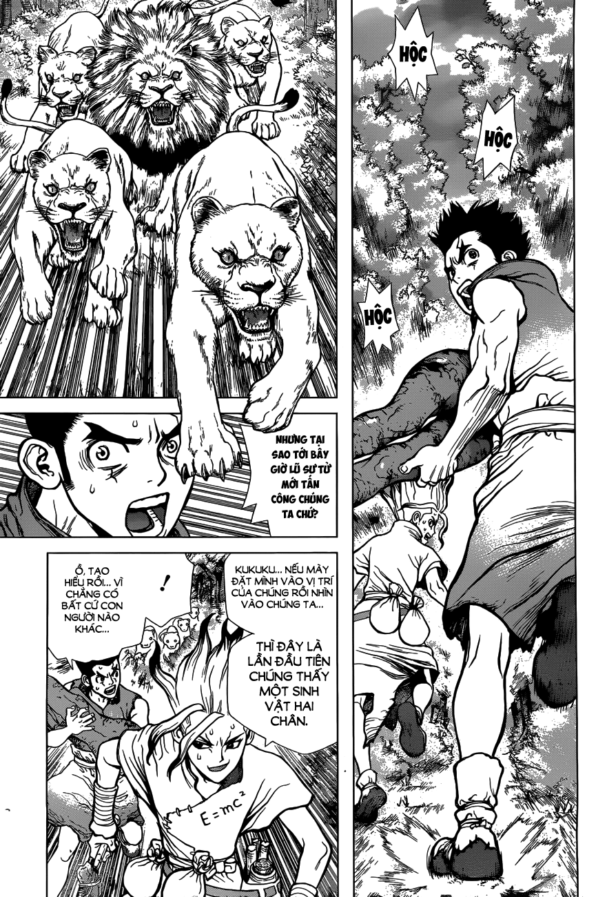Dr.stone: Chapter 3