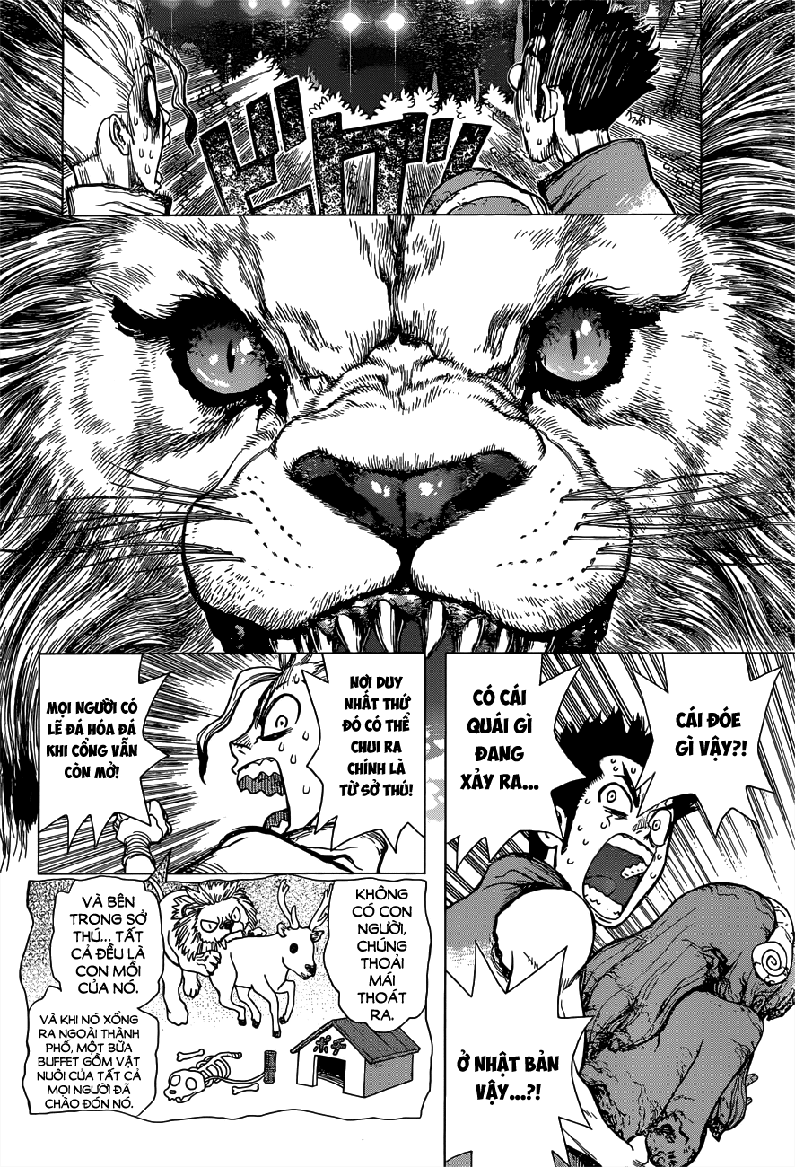 Dr.stone: Chapter 3