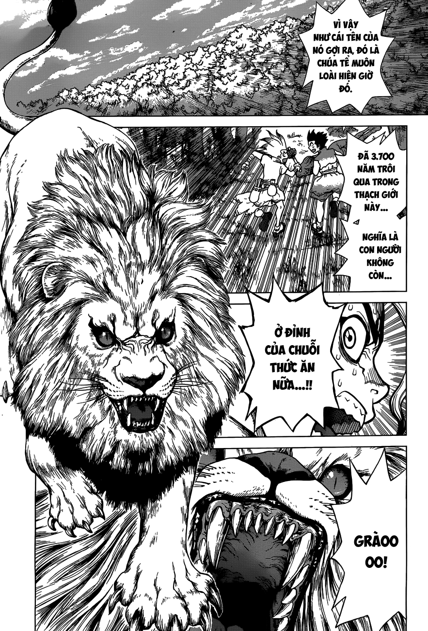 Dr.stone: Chapter 3