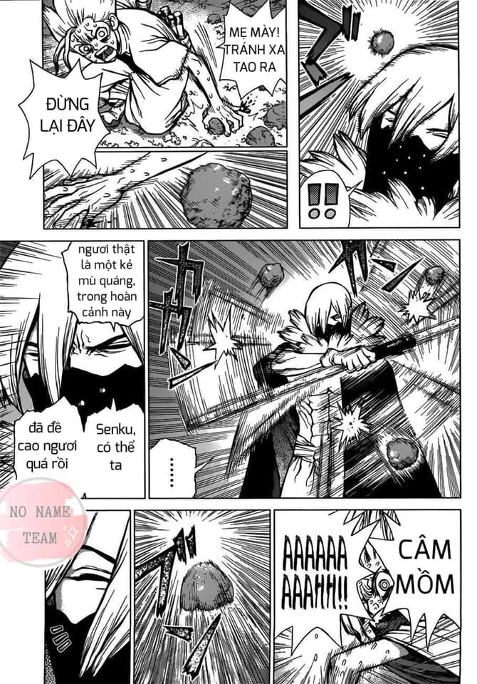 Dr.stone: Chapter 80