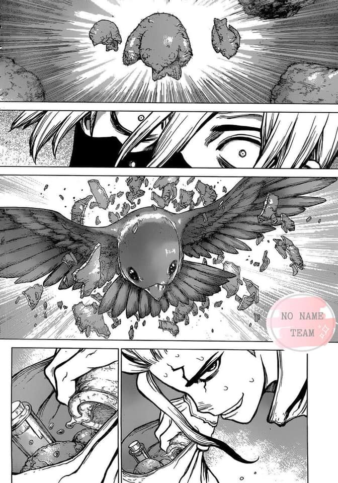 Dr.stone: Chapter 80