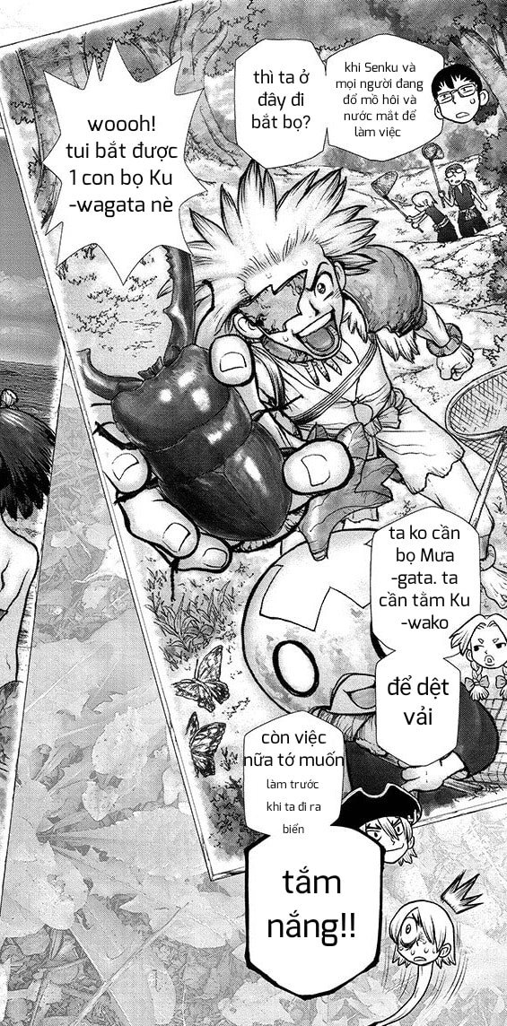 Dr.stone: Chapter 99