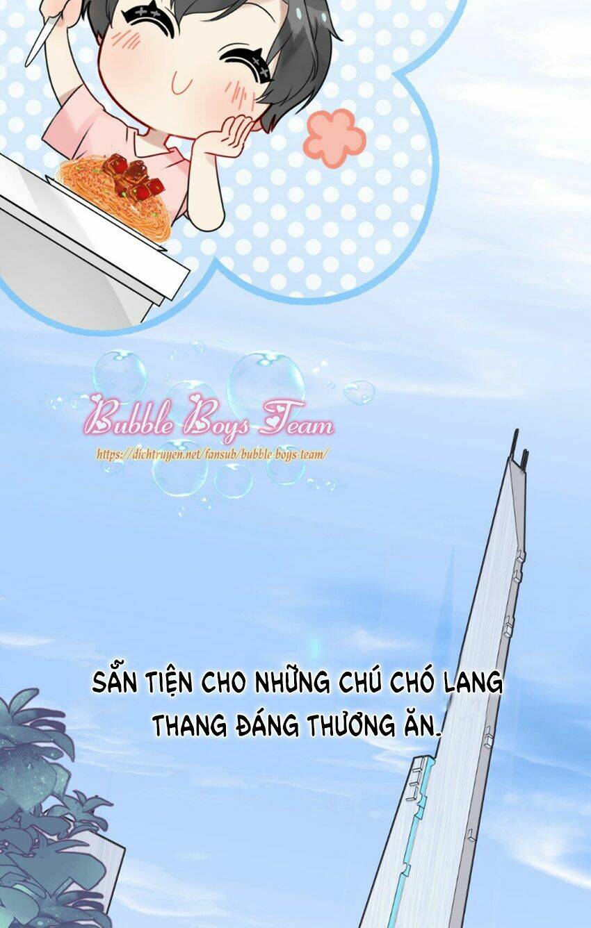 Dù Là Sói Cô Độc Cũng Có Tình Yêu Của Sẻ Nhỏ: Chapter 0