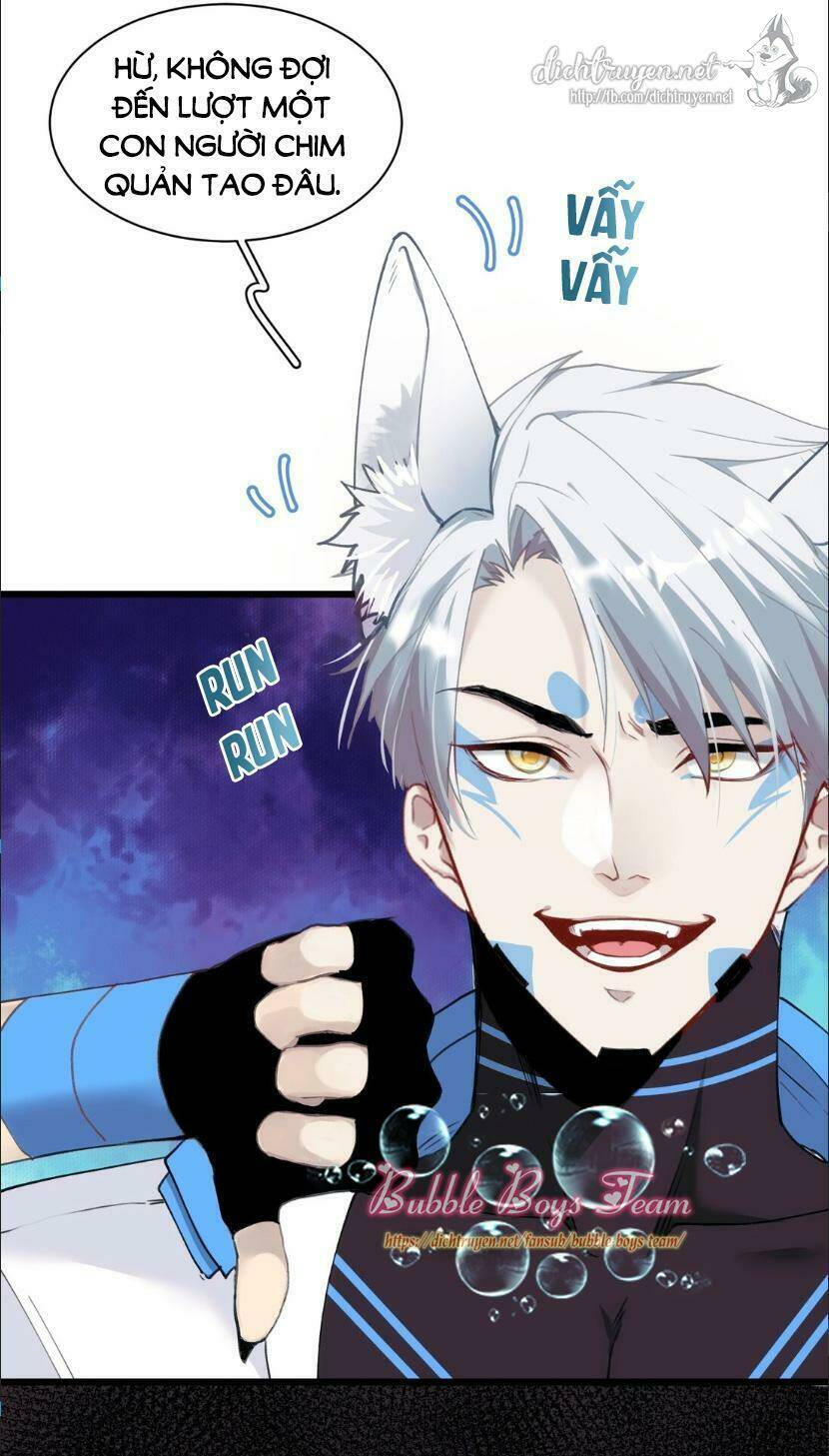 Dù Là Sói Cô Độc Cũng Có Tình Yêu Của Sẻ Nhỏ: Chapter 11