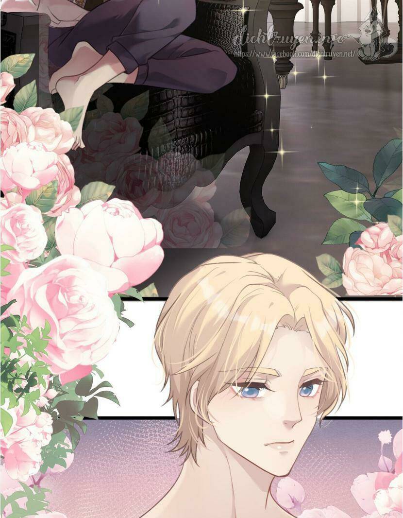 Dù Là Sói Cô Độc Cũng Có Tình Yêu Của Sẻ Nhỏ: Chapter 19