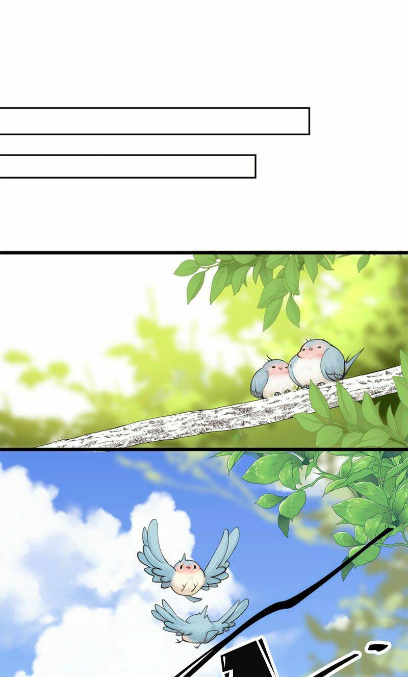 Dù Là Sói Cô Độc Cũng Có Tình Yêu Của Sẻ Nhỏ: Chapter 30.5