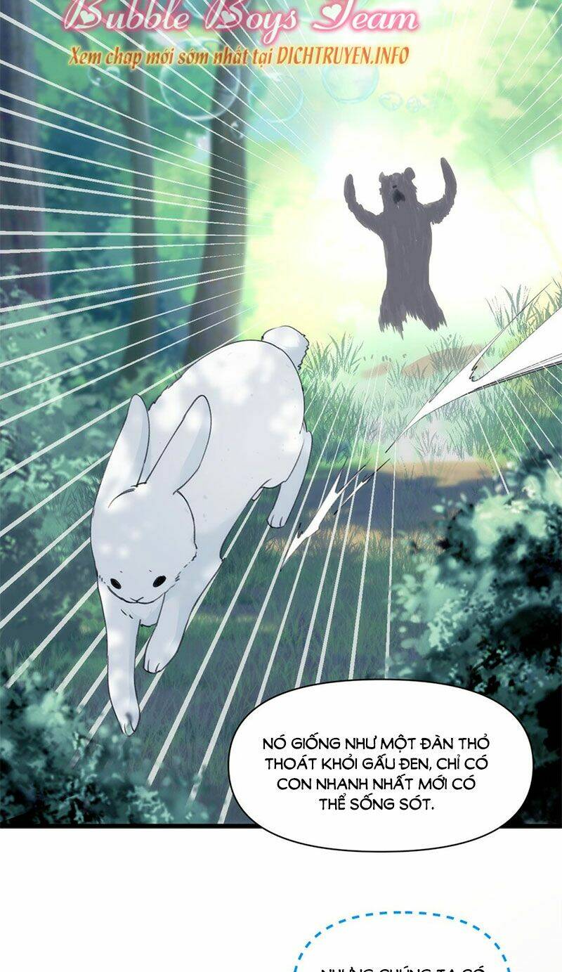 Dù Là Sói Cô Độc Cũng Có Tình Yêu Của Sẻ Nhỏ: Chapter 35