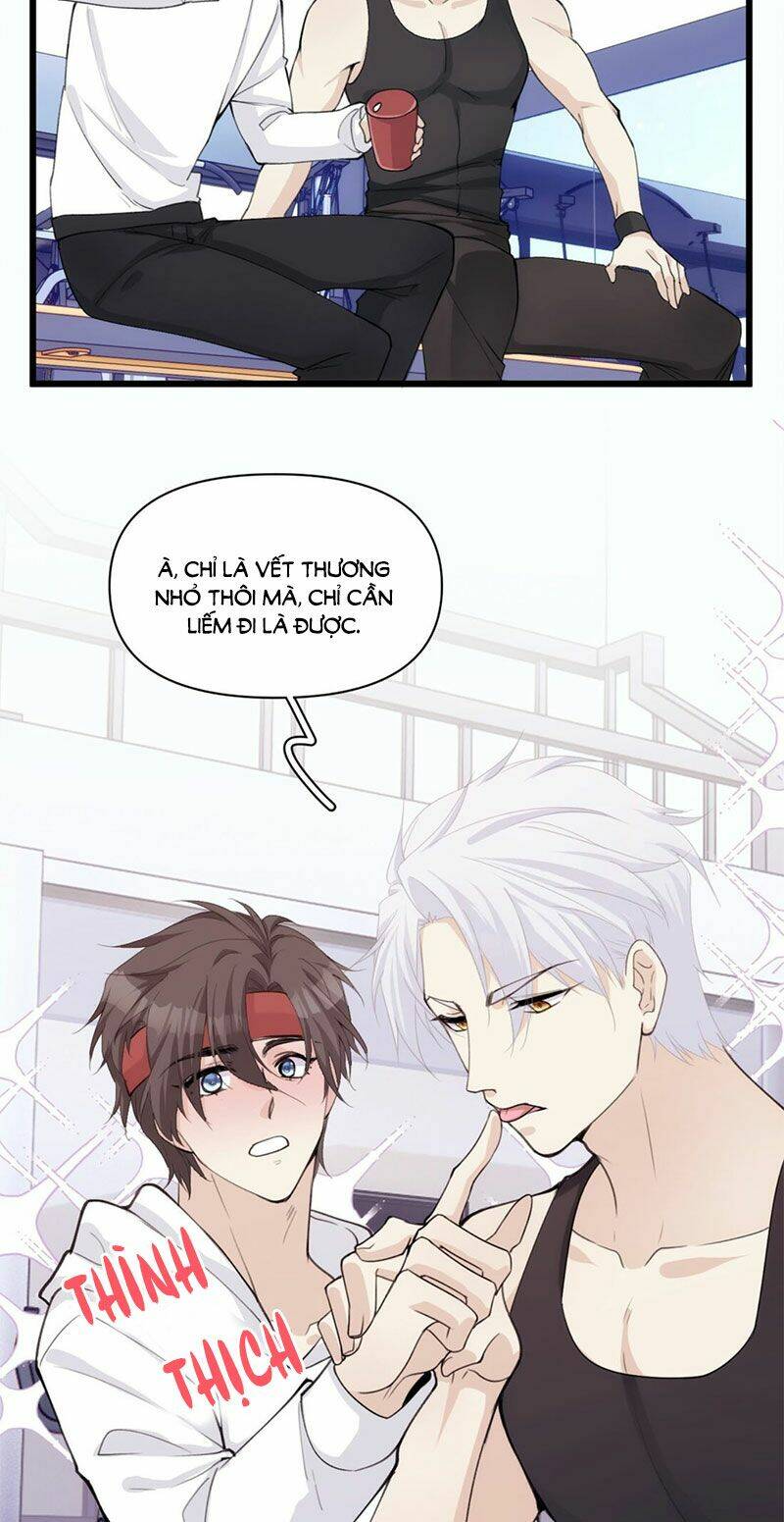 Dù Là Sói Cô Độc Cũng Có Tình Yêu Của Sẻ Nhỏ: Chapter 38