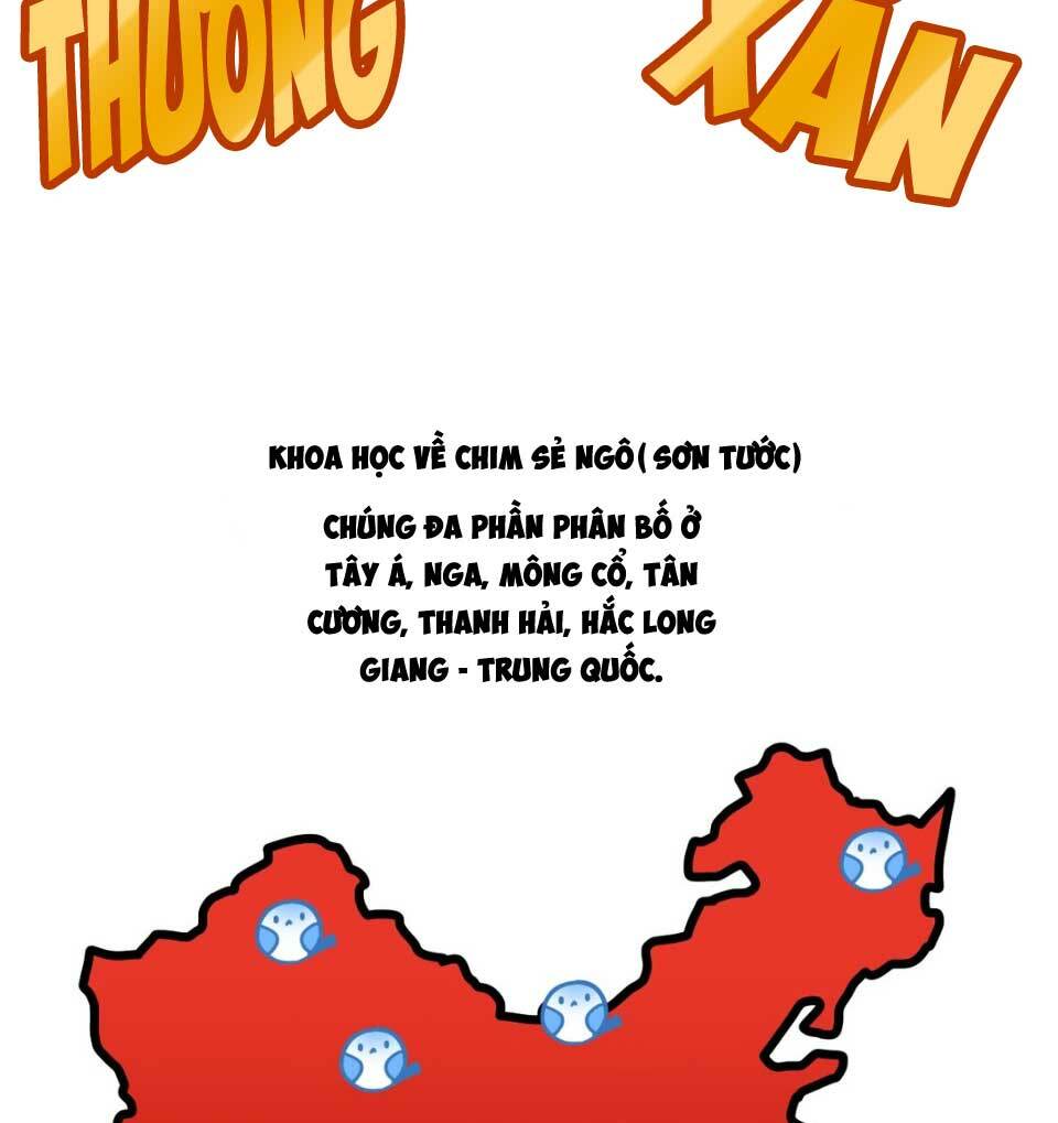 Dù Là Sói Cô Độc Cũng Có Tình Yêu Của Sẻ Nhỏ: Chapter 7