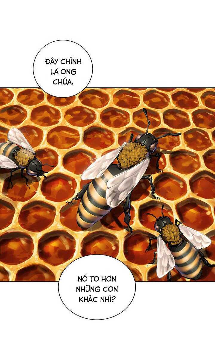 Đứa Con Thần Chết: Chapter 141