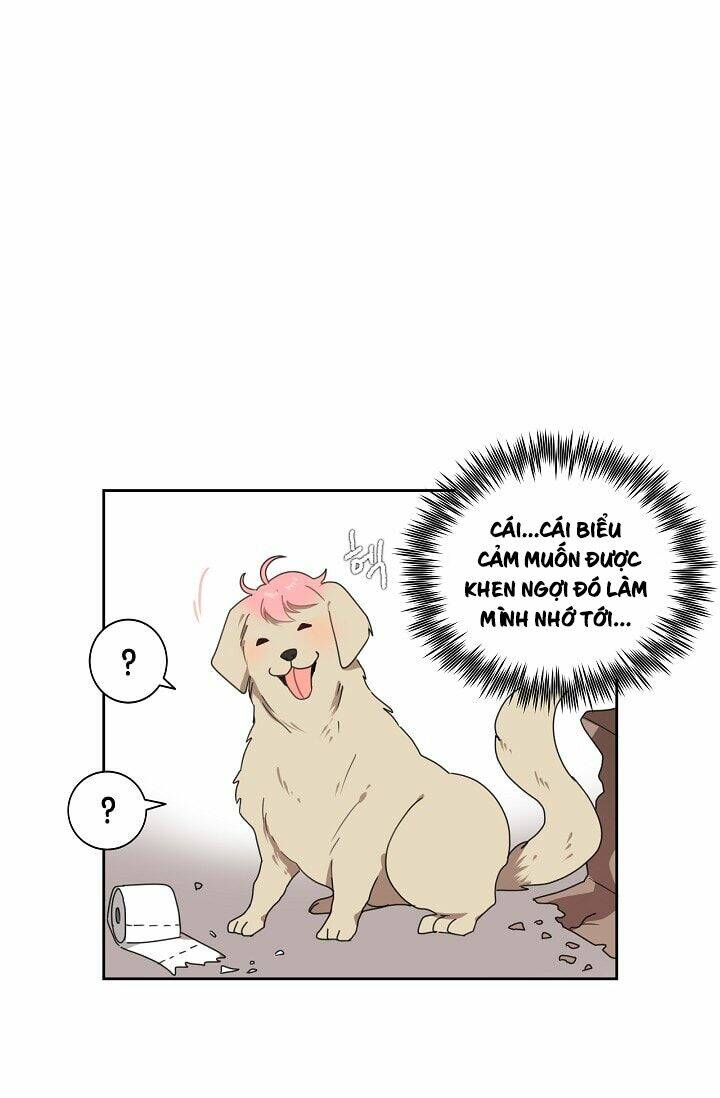 Đừng Lại Gần Giới Hạn 10M Của Tôi: Chapter 5