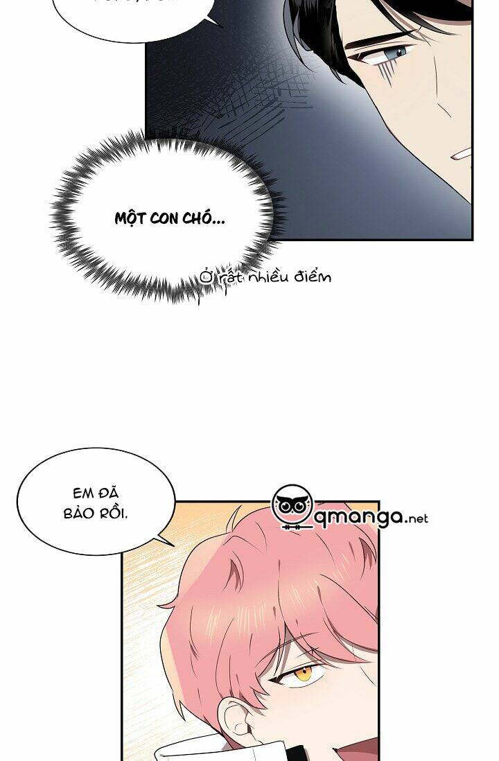 Đừng Lại Gần Giới Hạn 10M Của Tôi: Chapter 5