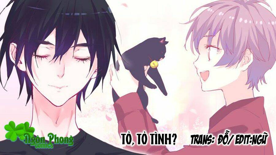 Nhất Dạ Nghiệt Tình: Cuồng Hôn Hào Môn Lão Công: Chapter 19