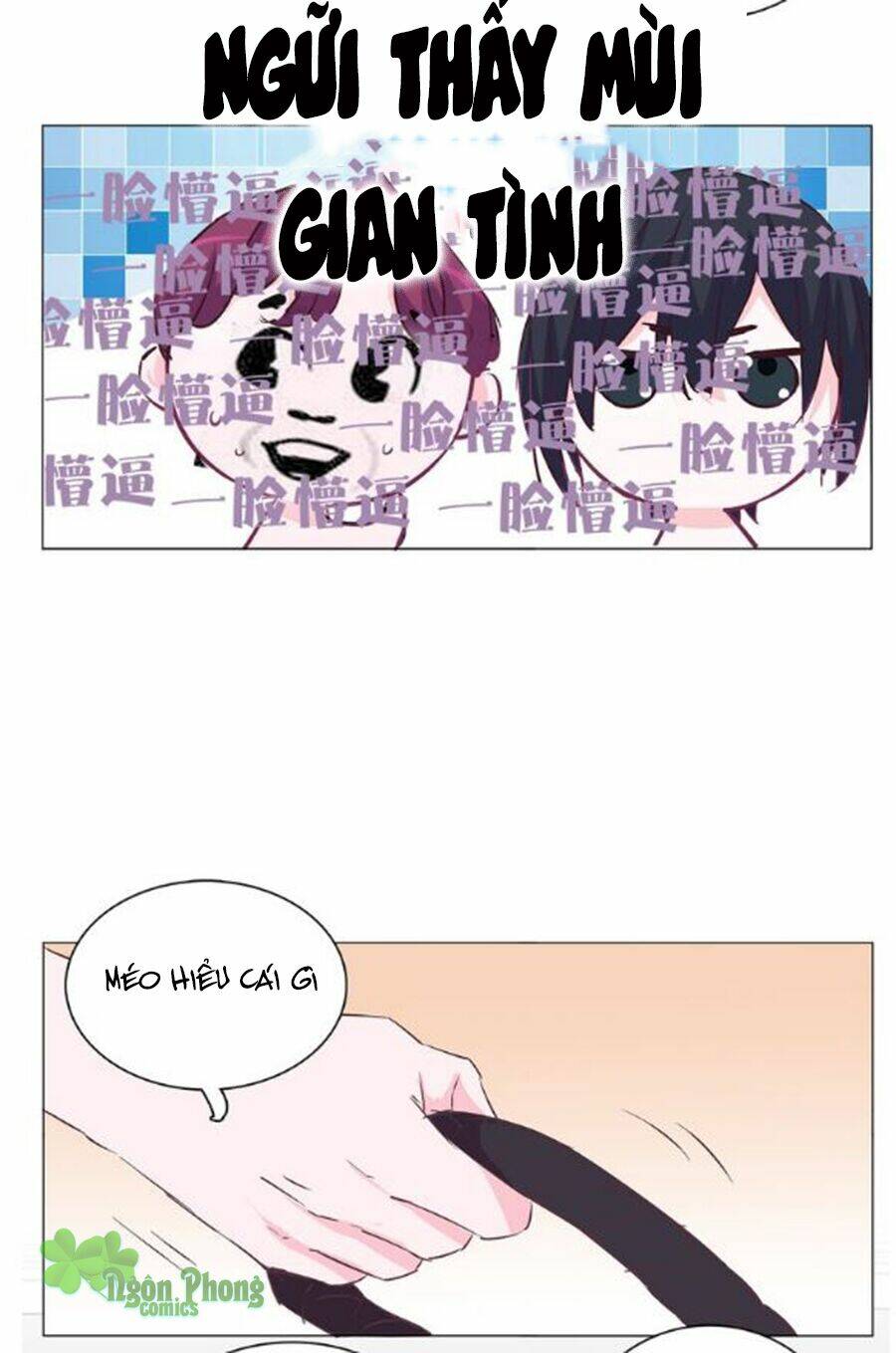 Nhất Dạ Nghiệt Tình: Cuồng Hôn Hào Môn Lão Công: Chapter 24