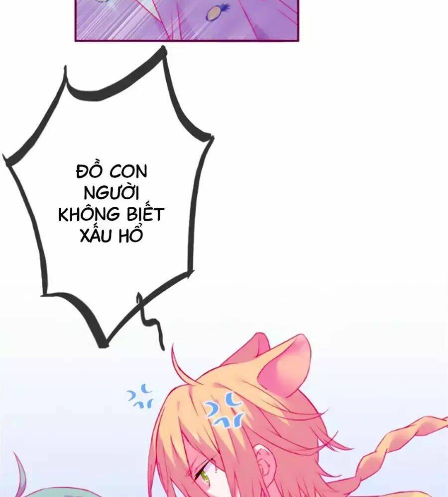 Nhất Dạ Nghiệt Tình: Cuồng Hôn Hào Môn Lão Công: Chapter 64